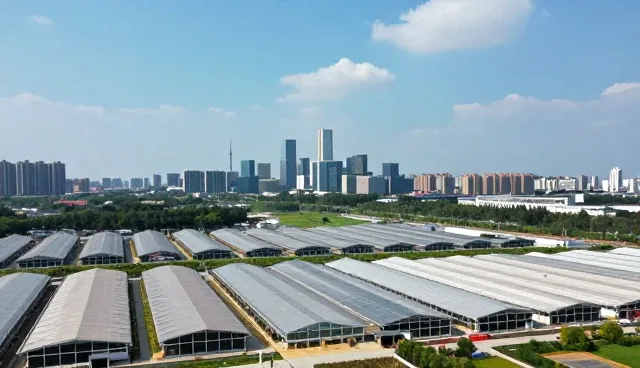 品牌建设在企业管理咨询中的实际应用与价值
